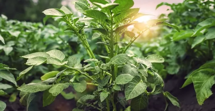 Ekran görüntüsü 2023-10-20 124024