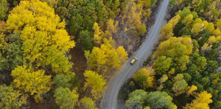 Dersim’de Renklerin Cümbüşü
