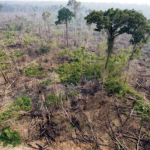 Ekran görüntüsü 2023-10-25 113730