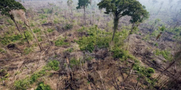 Ekran görüntüsü 2023-10-25 113730