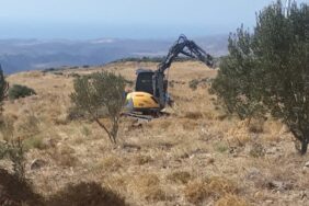 IMG-20230930-WA0003-900x556