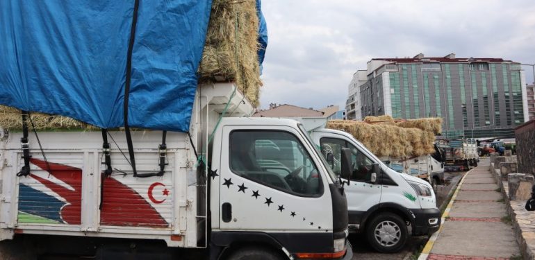Ardahan’da Tarımı Kuraklık Kaynaklı Verimde Düşüş ve Artan Maliyetler Vurdu