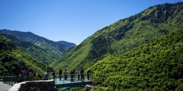 Milli-Parklar-990x556