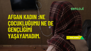 ekoloji post (YouTube Başlığı)