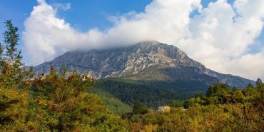 spil1-1-e1697032222463