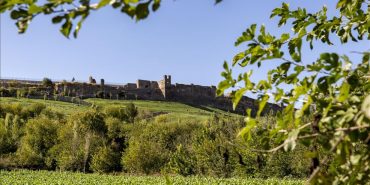 thumbs_b_c_905a09fdf4e7d2a4596d0b37ac8e6915