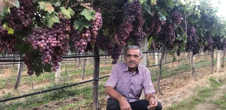 Manisalı çiftçilerin JES zaferi: Danıştay projeleri iptal etti