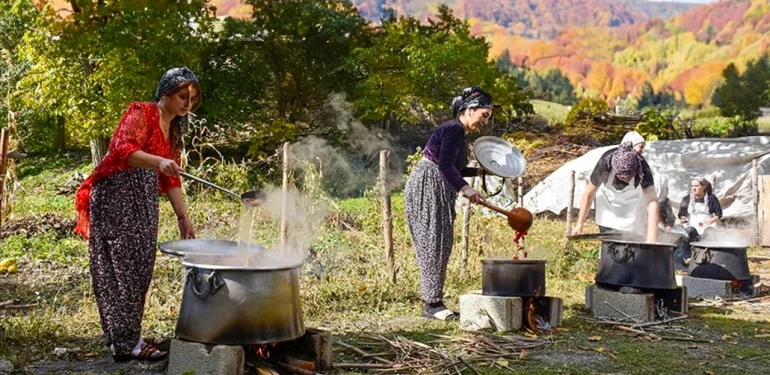 Hakkarili kadınlar dağlardan topladıkları otlarla geçim sağlıyor