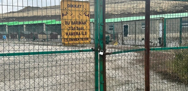 Hakkari’de hayvan barınağının kapısına kilit vuruldu