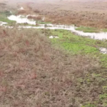 Ekran görüntüsü 2023-11-02 105933