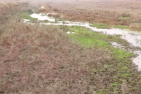 Ekran görüntüsü 2023-11-02 105933