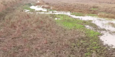 Ekran görüntüsü 2023-11-02 105933