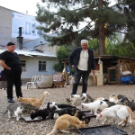 Ekran görüntüsü 2023-11-08 141606