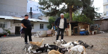 Ekran görüntüsü 2023-11-08 141606