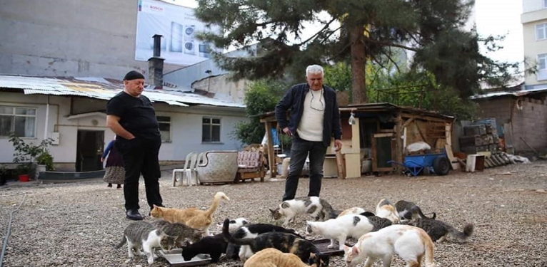 Onlarca Kedi Besleyen Çolakoğlu; “Kedileri Yalnız Bırakmayacağım”