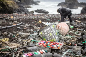 Ekran görüntüsü 2023-11-13 153658