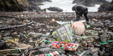 Ekran görüntüsü 2023-11-13 153658