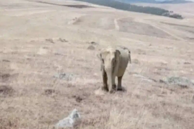 Ekran görüntüsü 2023-11-15 103614