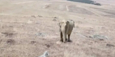 Ekran görüntüsü 2023-11-15 103614