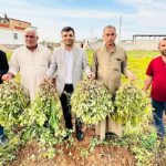 Ekran görüntüsü 2023-11-15 104751