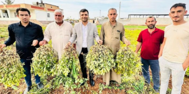 Ekran görüntüsü 2023-11-15 104751