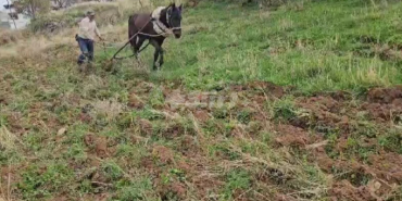 Ekran görüntüsü 2023-11-15 111628