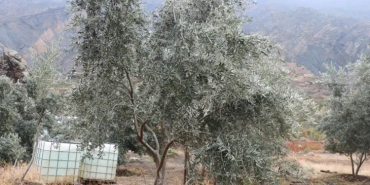 Ekran görüntüsü 2023-11-20 112139