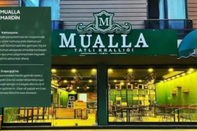 Ekran görüntüsü 2023-11-22 143942