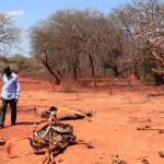 Ekran görüntüsü 2023-11-24 112628