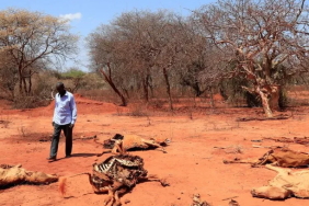 Ekran görüntüsü 2023-11-24 112628