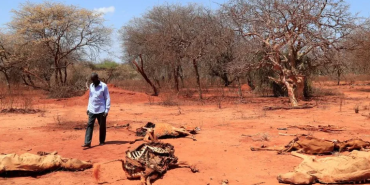 Ekran görüntüsü 2023-11-24 112628