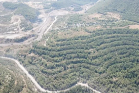 Ekran görüntüsü 2023-11-28 122902