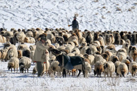 Ekran görüntüsü 2023-11-29 130948