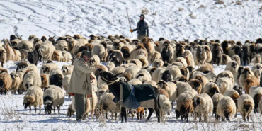 Ekran görüntüsü 2023-11-29 130948