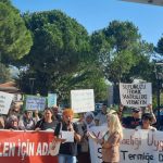 WhatsApp-Image-2023-11-09-at-15.22.19-1-990x556