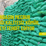 ekoloji post (YouTube Başlığı) (1)