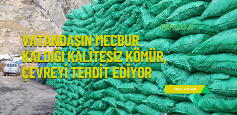 Vatandaşın mecbur kaldığı kalitesiz kömür, çevreyi tehdit ediyor