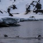 f-31yssxcaarocw-e1701177800345