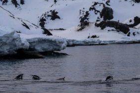 f-31yssxcaarocw-e1701177800345