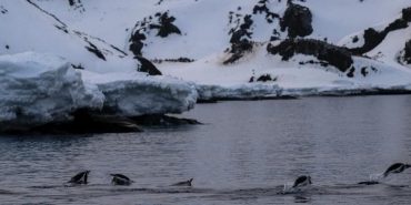 f-31yssxcaarocw-e1701177800345