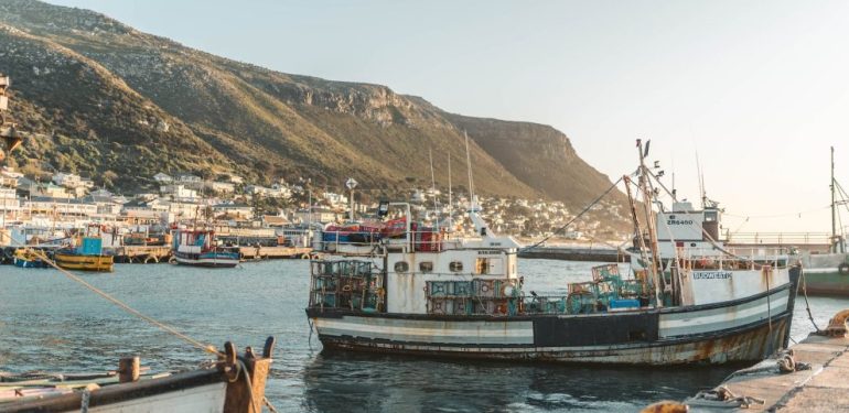 Balık Stoklarını Korumak İçin Av Mevsimi Sınırlandırılmalı