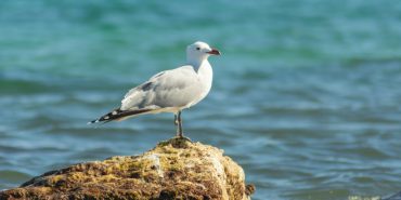 image-2023-11-10-105105