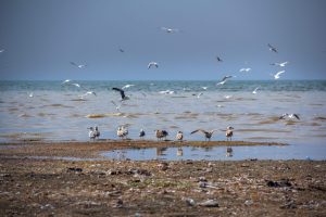 org_news_1948018