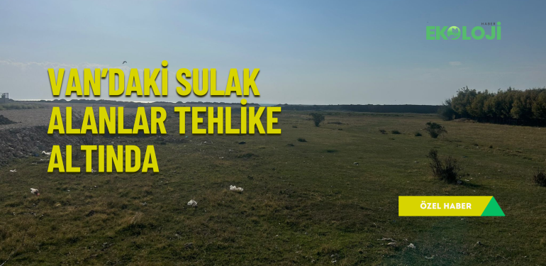 Van’daki sulak alanlar tehlike altında