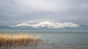 1702986057_Beys__ehir_Go__lu___Mahmut_Koyas__-990x556
