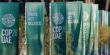 53393251743_5f679bbf57_c