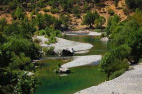 690x390cc-amd-29-12-2023-ced-iptal-edilmeli4