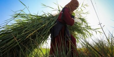 690x390cc-ank-21-12-2023-tarimsal-girdi-fiyatlari