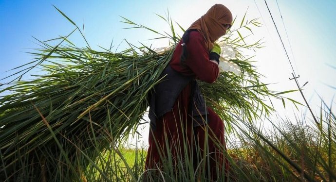 Tarımsal girdi fiyatları yüzde 40 arttı