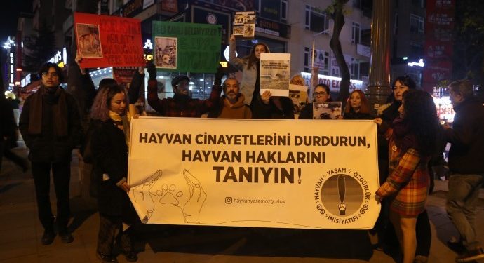 Ankara’da sokak hayvanları için eylem